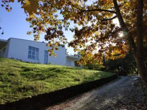 Billede fra billedgalleriet på Casa de Apeleiras i Marco de Canaveses + 35 billeder