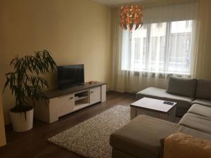 Liivalaia Apartment في تالين: غرفة معيشة مع أريكة وتلفزيون بشاشة مسطحة