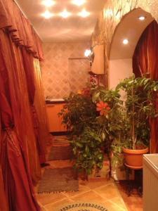 a bathroom with potted plants in a room at Sweet Homme in Craiova