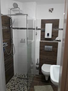 ヴィンターベルクにあるFerienwohnung Mittendrinのバスルーム(トイレ、ガラス張りのシャワー付)