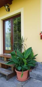 Gallery image of Chalupa U Zvonka Trojanovice in Frenštát pod Radhoštěm