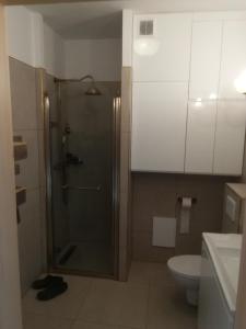 a bathroom with a shower and a toilet at Apartament Zielony in Szczyrk