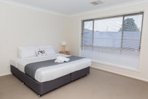 Gallery image of Lovely 3 Bed, 2 Bath in the City Centre in Wagga Wagga
