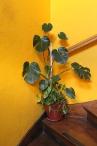 Fotografie z fotogalerie ubytování Hostal Dinamarca v destinaci Valparaíso