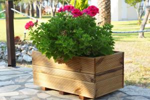 A garden outside Sand and Sea