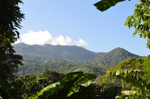 Blick auf die Berge vom Dschungel in der Unterkunft Casa Oasis de colibri in El Zaino