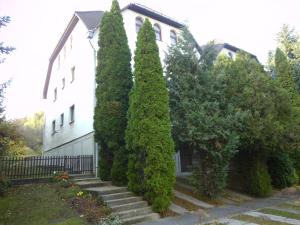 a house with tall trees in front of it at Aulich Apartman in Miskolc