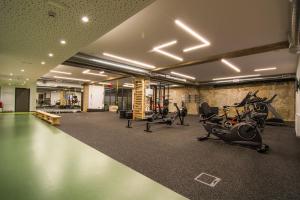 Fitness centrum a/nebo fitness zařízení v ubytování Accommodation Vitalis