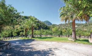 a dirt road with palm trees and mountains in the background at Finca El Huertezuelo in El Bosque