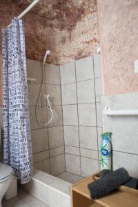 a bathroom with a shower and a toilet at Ali's Underground Studio in Coober Pedy +40 photos