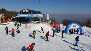 eine Gruppe von Personen, die auf einer schneebedeckten Piste Ski fahren in der Unterkunft Stacja Narciarska SOSZÓW Wisła in Wisła