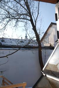 Balkón nebo terasa v ubytování Sunny Apartments Vienna