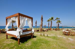 a bed in a field next to the beach at Amphora Hotel & Suites in Paphos