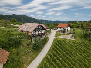 an aerial view of a house and a road next to a vineyard at Apartment Velbana Gorca in Virštanj