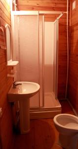 a bathroom with a shower and a sink and a toilet at Mandarin Pension in Novy Afon