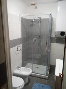 a bathroom with a shower with a toilet and a sink at bilocale Giomein in Breuil-Cervinia