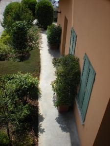 O grădină în afara ALBERGO LA SCALETTA