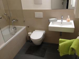 a bathroom with a sink and a toilet and a shower at City Apartment Munich in Munich