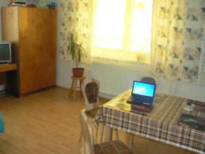 Fotografia z galérie ubytovania Apartman Besenova v Bešeňovej + 29 fotografií