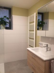 La salle de bains est pourvue d'un lavabo et d'un miroir. dans l'établissement Pantone Ultra, à Dossenheim