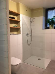 La salle de bains est pourvue d'une douche et de toilettes. dans l'établissement Pantone Ultra, à Dossenheim