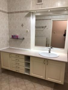 Koupelna v ubytování Gábor Pál 1 Apartman 2 szoba + 13 fotografií