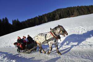 Obiekt Biobauernhof Fleckl zimą