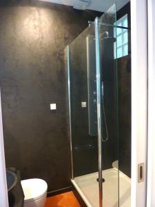 a bathroom with a glass shower with a toilet at La Maison narbonnaise in Narbonne