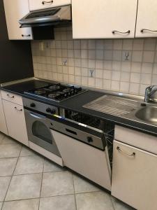 Kuchyň nebo kuchyňský kout v ubytování Gábor Pál 1 Apartman 2 szoba