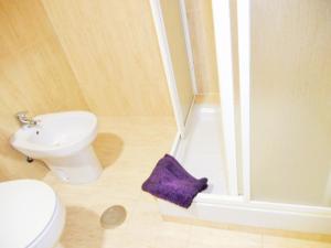 ein Badezimmer mit Toilette und Dusche mit einem lila Handtuch in der Unterkunft Martin House & Granada in Granada