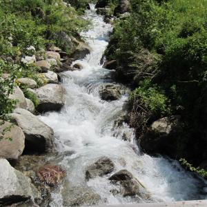 un ruisseau d'eau avec des rochers et des arbres dans l'établissement Haus St. Michael 2, à Binn