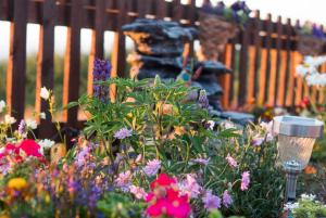 een tuin met een fontein en bloemen voor een hek bij Enlli Fach pet friendly Cabin , sleeps 2 adults 2 children not suitable for contract workers due to parking in Borth