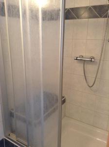 a shower with a glass door in a bathroom at Haus Elsa in Ramsau am Dachstein
