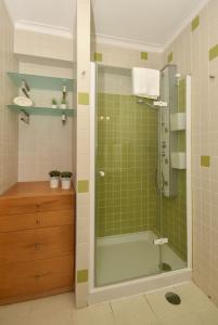 アヴェイロにあるSalineiras Center Apartmentの緑のタイル張りのバスルーム(シャワー付)