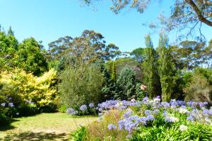 a garden with purple flowers and trees at Innisfree Mountain Retreat in Denmark