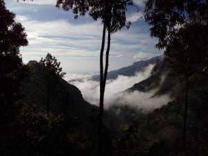 uma vista para um vale com nuvens nas montanhas em Hidden Gem Inn em Ella