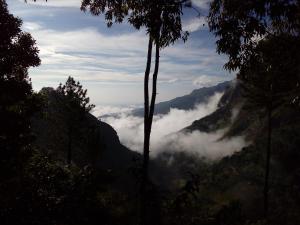 a view of a valley with clouds in the mountains at Hidden Gem Inn in Ella