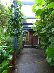 a walkway with plants growing around a building at A Suite Spot in the Hills in Mount Barker