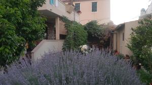 un jardín con flores púrpuras frente a un edificio en Apartment Lavanda garden, en Rab