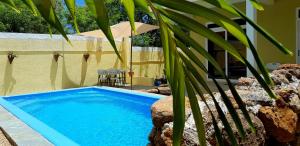 a swimming pool with an umbrella and a palm tree at Colosseo Apartments in Grand Baie