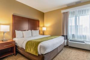 Posteľ alebo postele v izbe v ubytovaní Comfort Inn and Suites - Tuscumbia/Muscle Shoals
