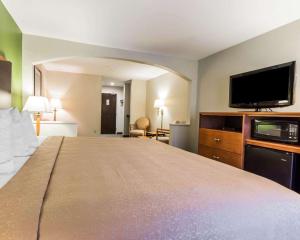 a hotel room with a large bed and a flat screen tv at Quality Inn & Suites Birmingham - Highway 280 in Birmingham