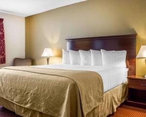 a hotel room with a large bed with white pillows at Hotel Americana in Nogales