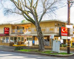 een gebouw met een boom ervoor bij Econo Lodge Sacramento Convention Center in Sacramento