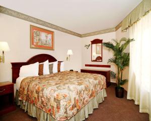 pokój hotelowy z łóżkiem i rośliną w obiekcie Quality Inn Santa Clara Convention Center w mieście Sunnyvale
