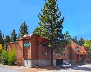 a building with a tree in front of it at Quality Inn near Mammoth Mountain Ski Resort in Mammoth Lakes