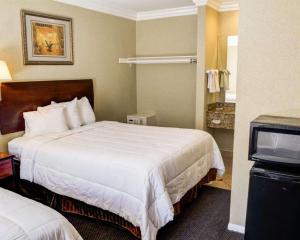 a hotel room with a bed and a television at Rodeway Inn near Venice Beach in Los Angeles