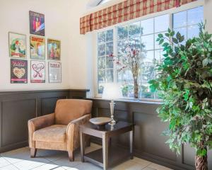 a room with a chair and a table and a window at Econo Lodge Inn & Suites Lodi - Wine Country Area in Lodi