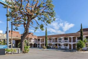 a large building with a tree in front of it at Rodeway Inn Magic Mountain Area in Castaic