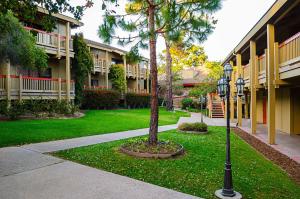 a courtyard with a tree and a street light at Comfort Inn Monterey Peninsula Airport in Monterey